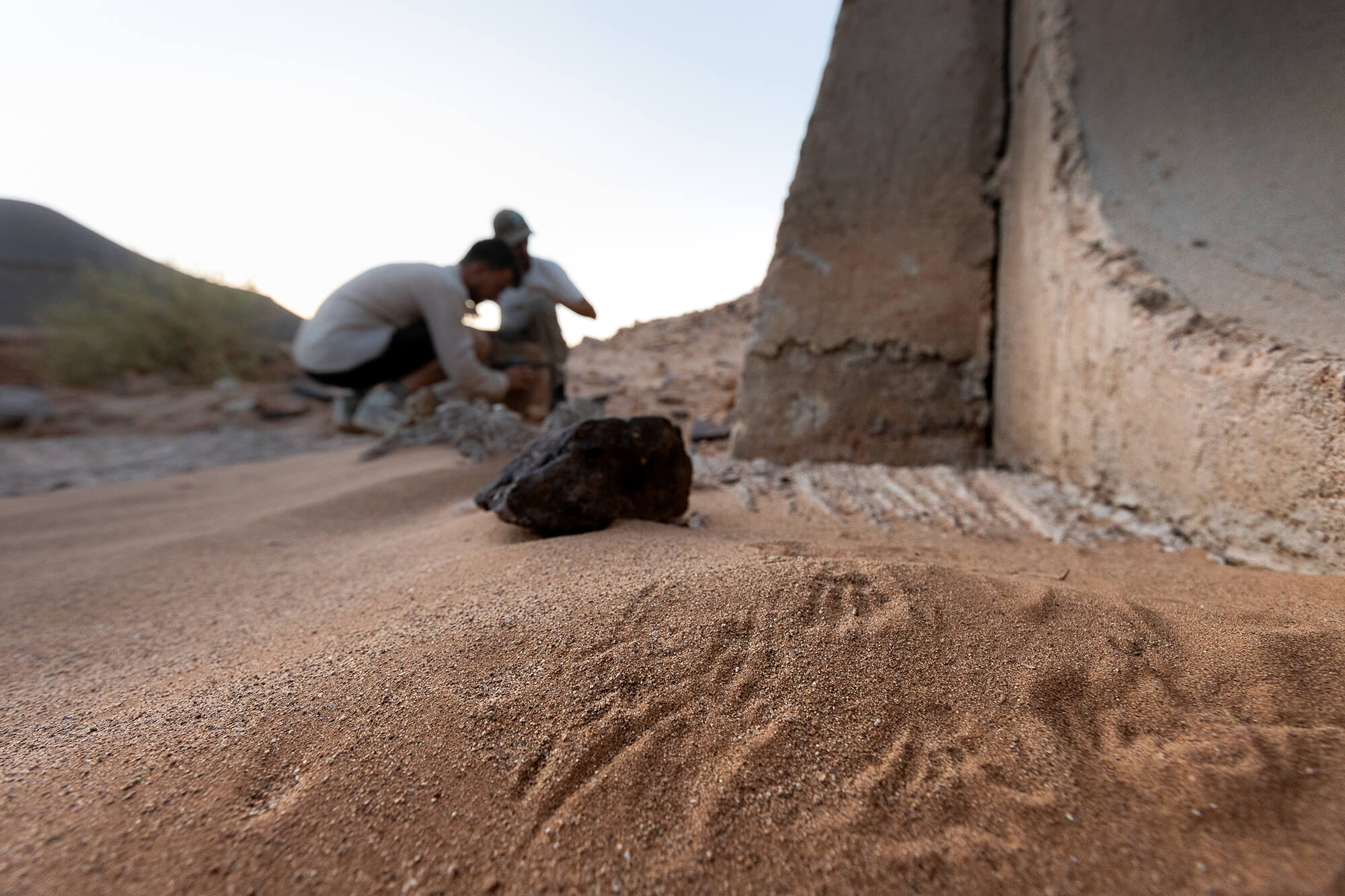 Terrain Fauna Morocco
