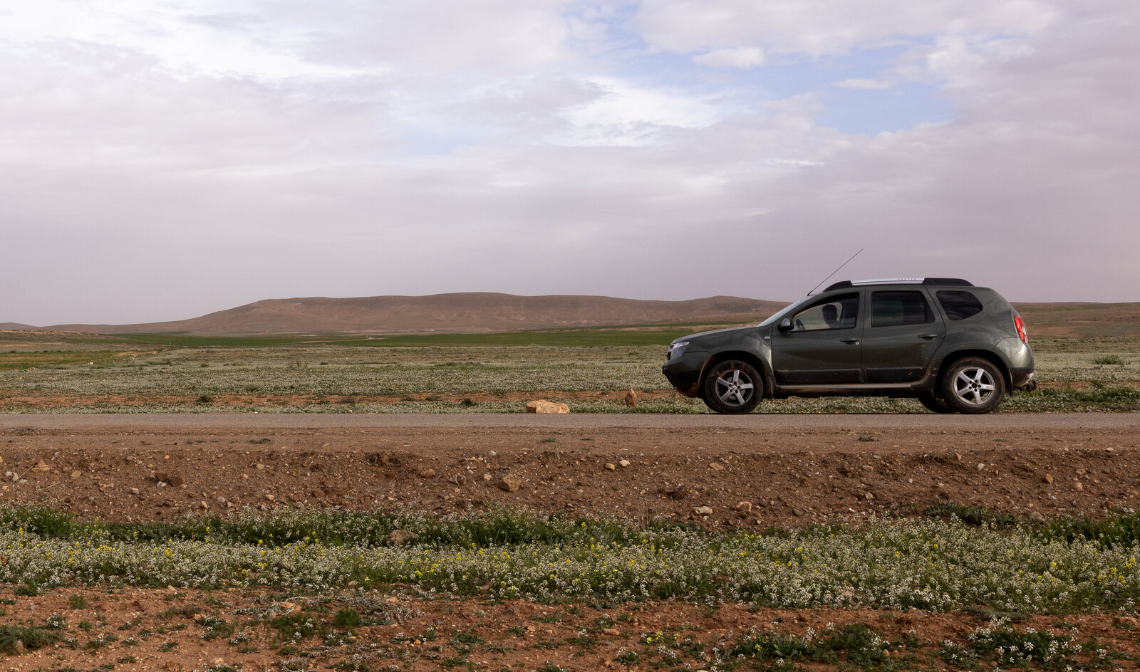 Terrain Fauna Morocco