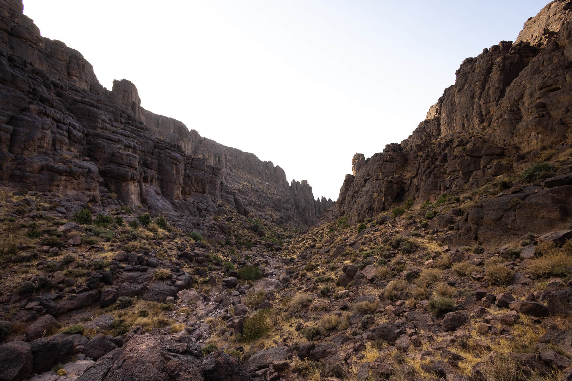 Moroccan nature