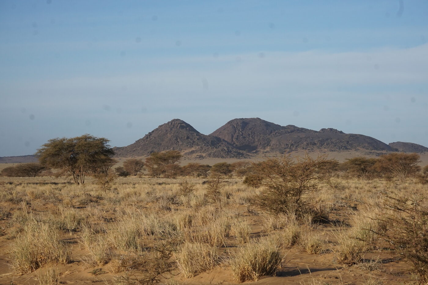 Into the deep Sahara