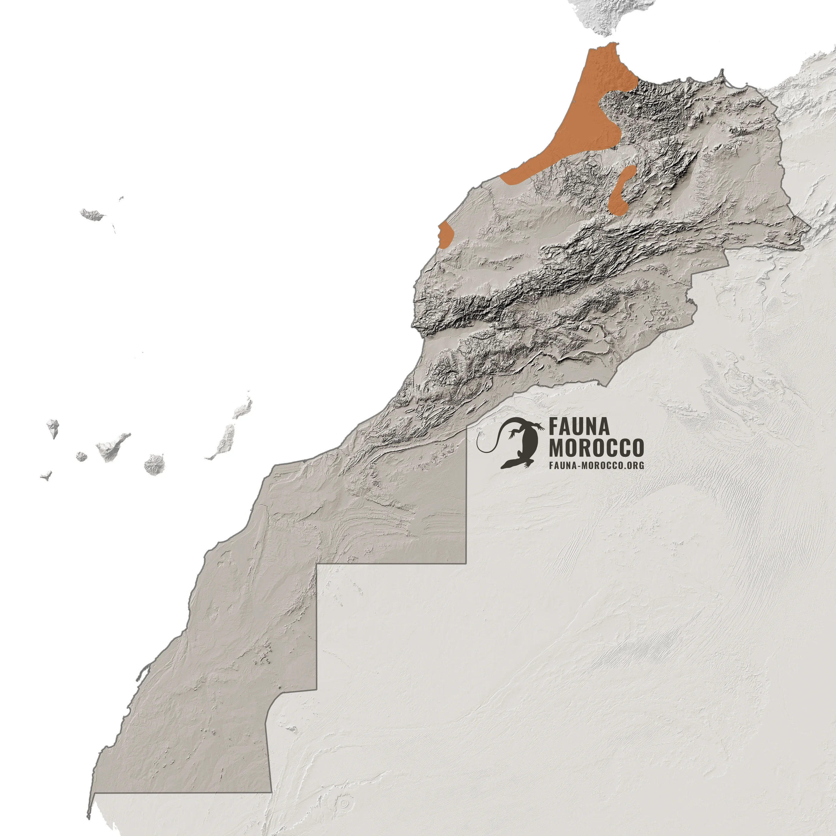 خريطة انتشار سمندل والتل (Pleurodeles waltl) في المغرب