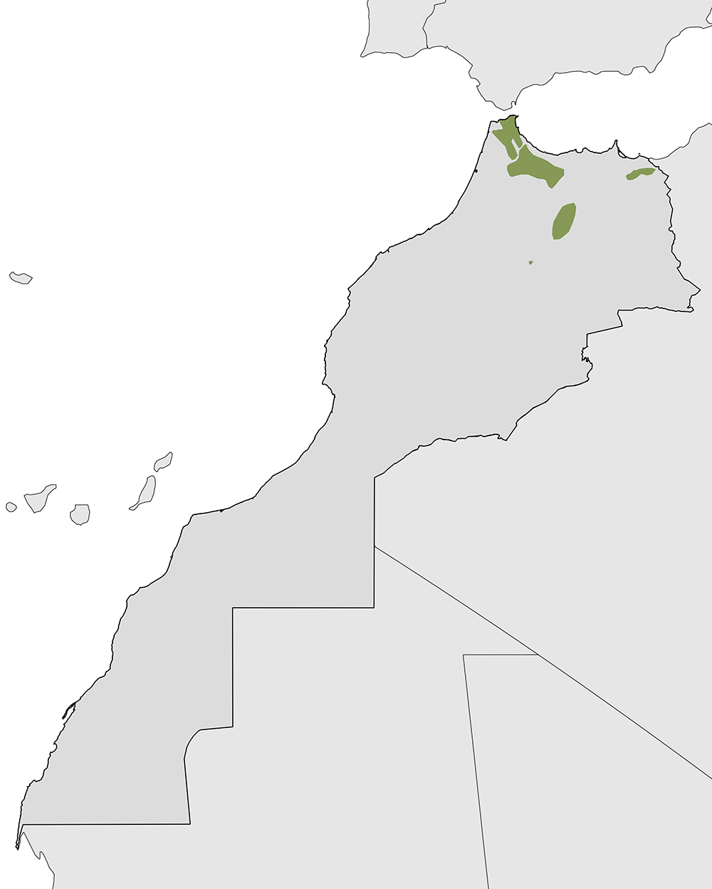 Distribution map of Salamandra algira in Morocco
