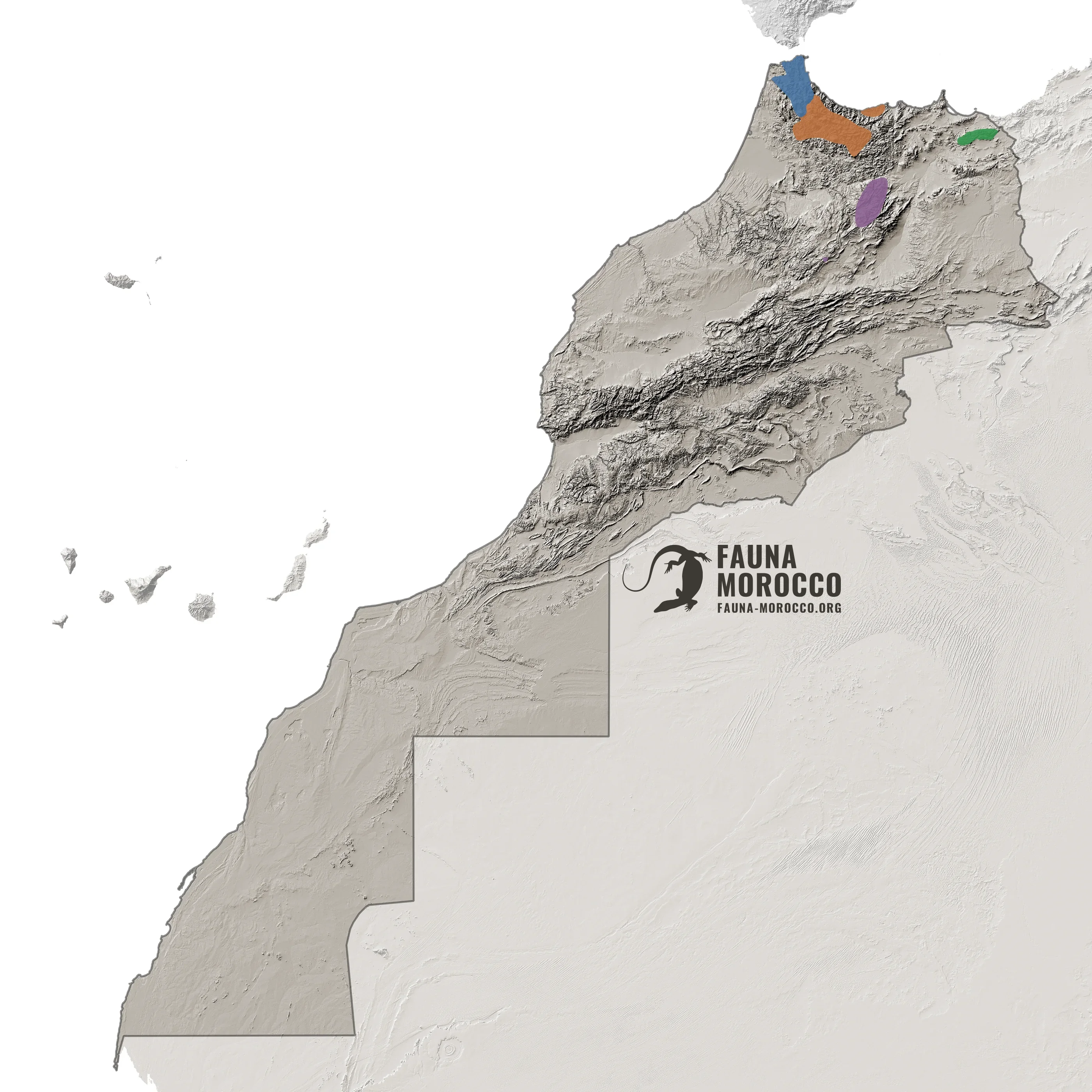 خريطة انتشار Salamandra algira حسب النويعات في المغرب