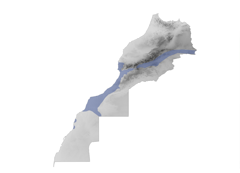 Distribution map of Naja haje in Morocco