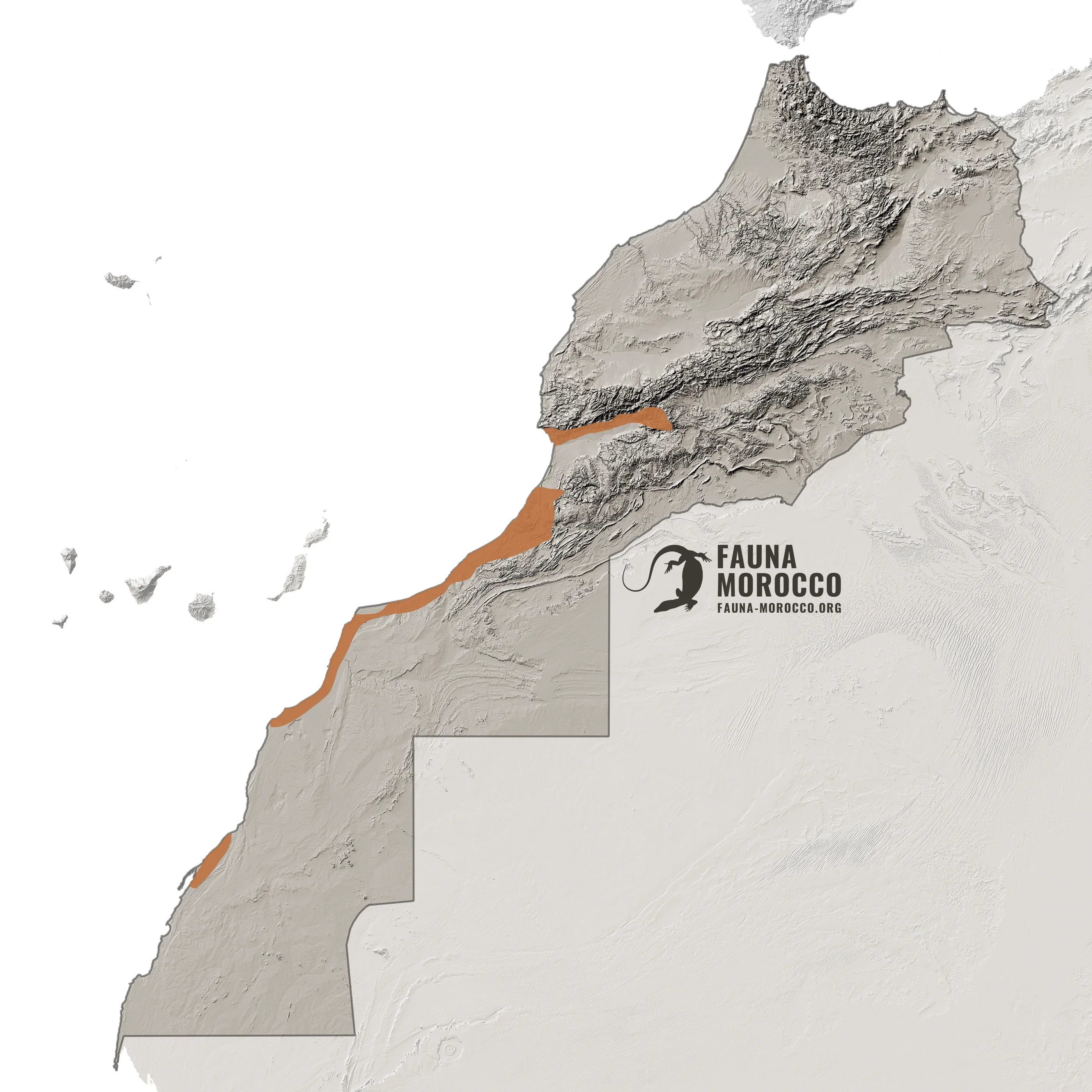 Carte de répartition de la Vipère heurtante (Bitis arietans) au Maroc