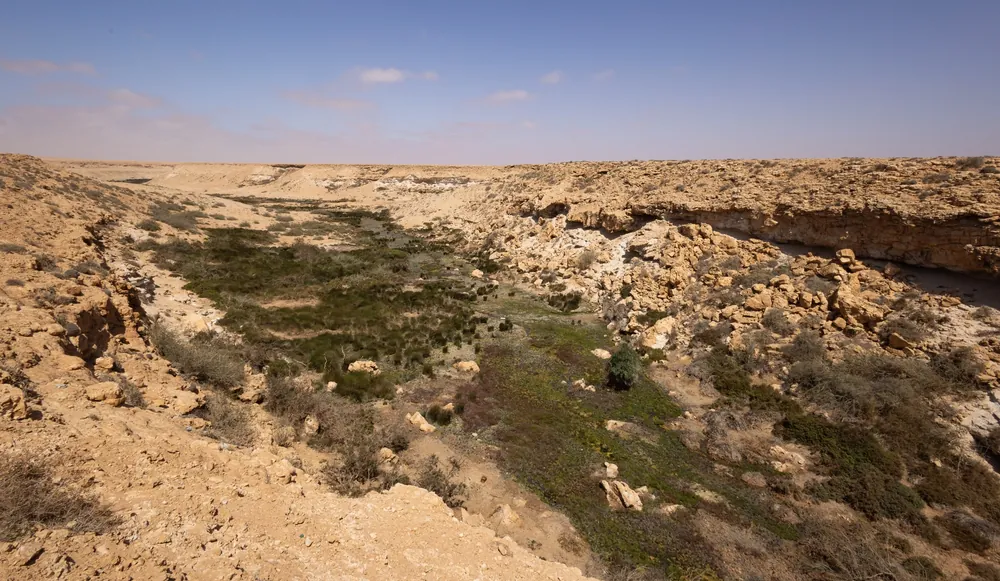 Dépression au milieu des plateaux désertiques, habitat de la Vipère heurtante dans le sud du Maroc