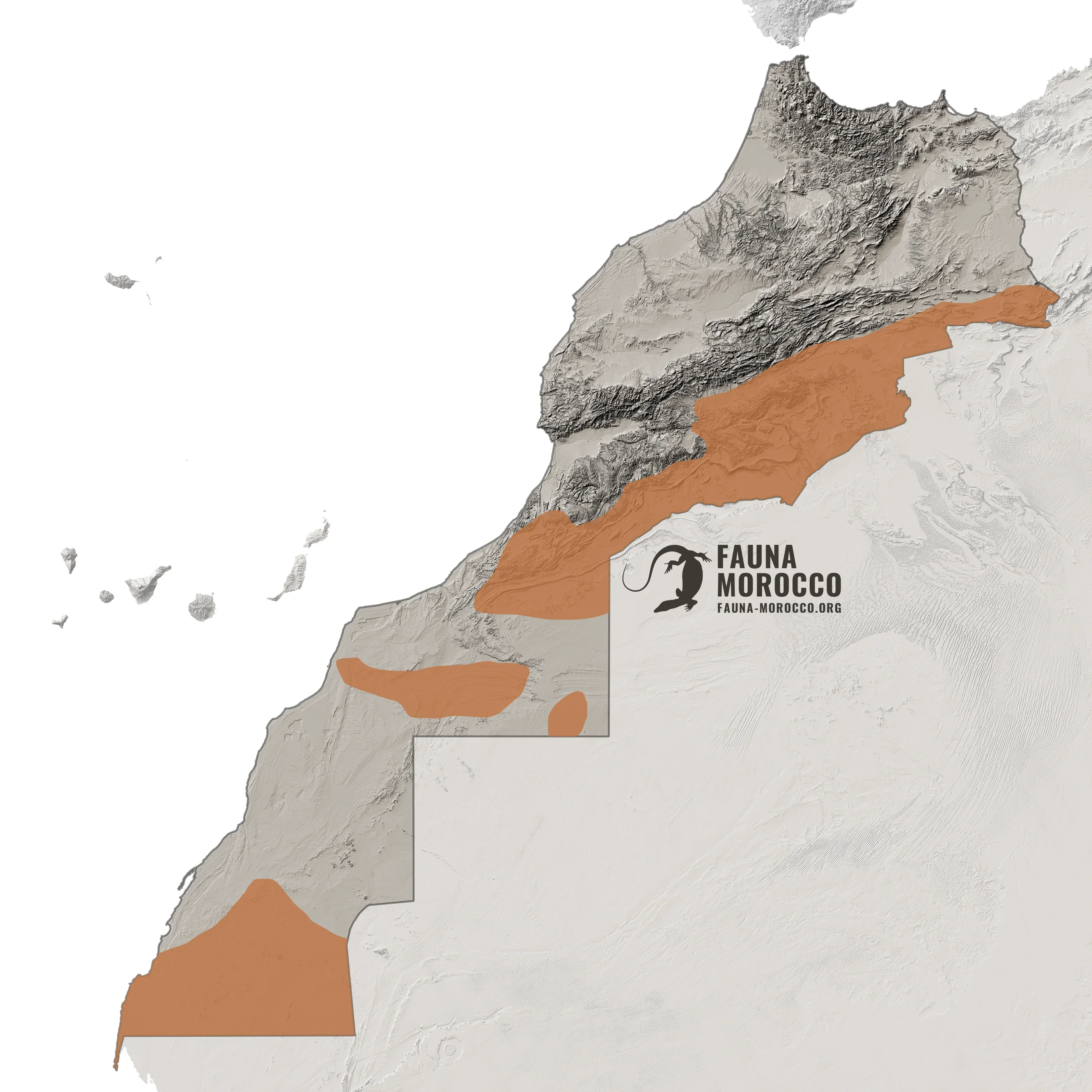 خريطة انتشار الأفعى القرناء (Cerastes cerastes) في المغرب