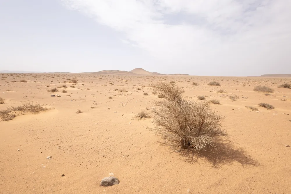 أرض رملية حجرية قليلة الغطاء النباتي قرب المسيد، المغرب