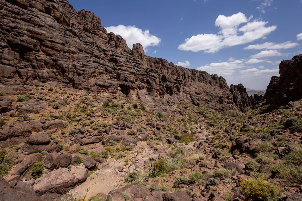 Canyon rocheux et lits d'oued dans l'Anti-Atlas, habitat de la Vipère de Maurétanie, Maroc