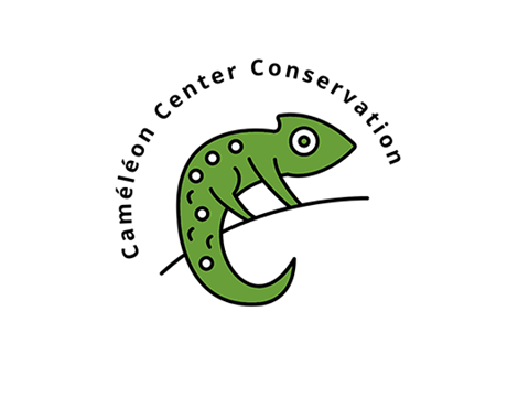 Caméleon Center Conservation - Chameleon conservation organization