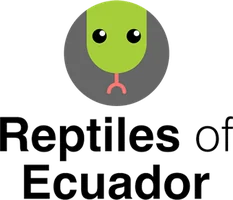 Reptiles of Ecuador